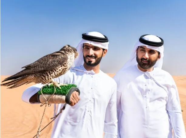 Falcon