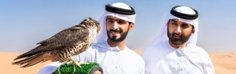 TPA Falcon Protection